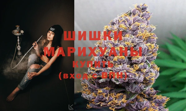 МДПВ Алзамай