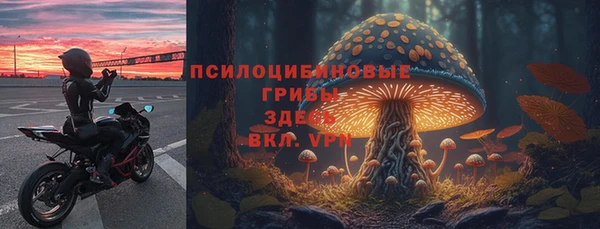 МДПВ Алзамай